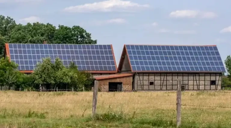 Can You Have Too Many Solar Panels? According to Your Need
