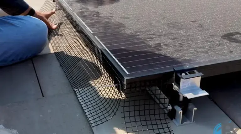 Proven Ways to Pigeon Proof Solar Panels | Beneficial Solution